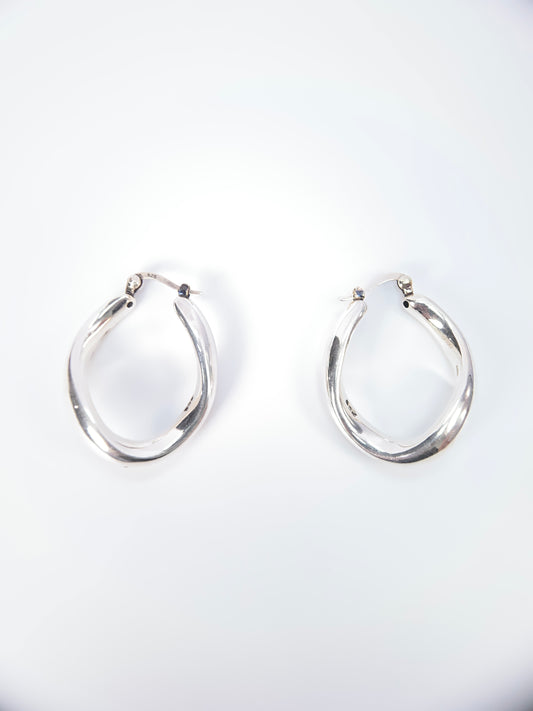 Dazzling Moon 925 Silver Earrings